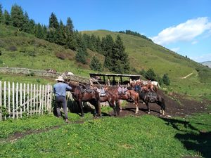 Конные туры в Киргизии